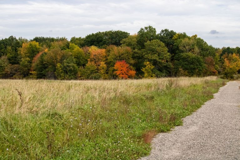 Hadley Valley Trailhead — Rochester