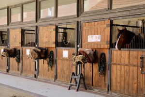 Green Dot Stables — Detroit
