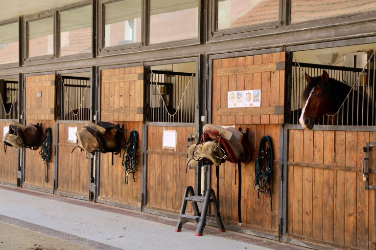 Green Dot Stables — Detroit