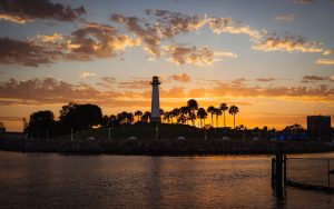 Circuit Brewing — West Palm Beach