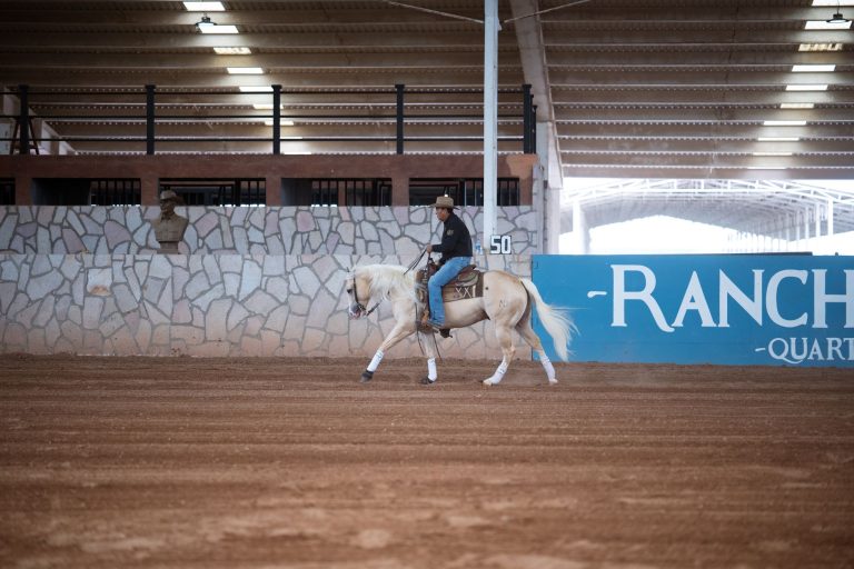 Rockin' Ranch Events Center – Rockwall — Rockwall