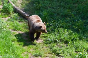 Bear Run Nature Reserve — Uniontown