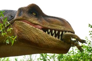 Savannas Dinosaur Center — Port St Lucie