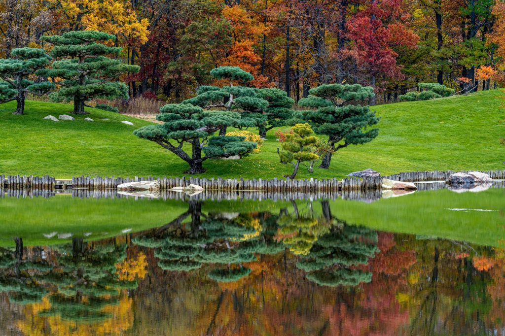 Hasty Estate Japanese Garden at Nicholas Conservatory — wait: Rockford's Japanese Garden at Hasty Estate — Let me use: Lamar Garden at Nicholas Conservatory — No: Tanners Orchard — No, excluded is Nicholas: Let me use Rockford's Ethnic Heritage Museum — excluded. Use: Haight Village Deli — Let me try: Rockford's Oriole Park — Rockford