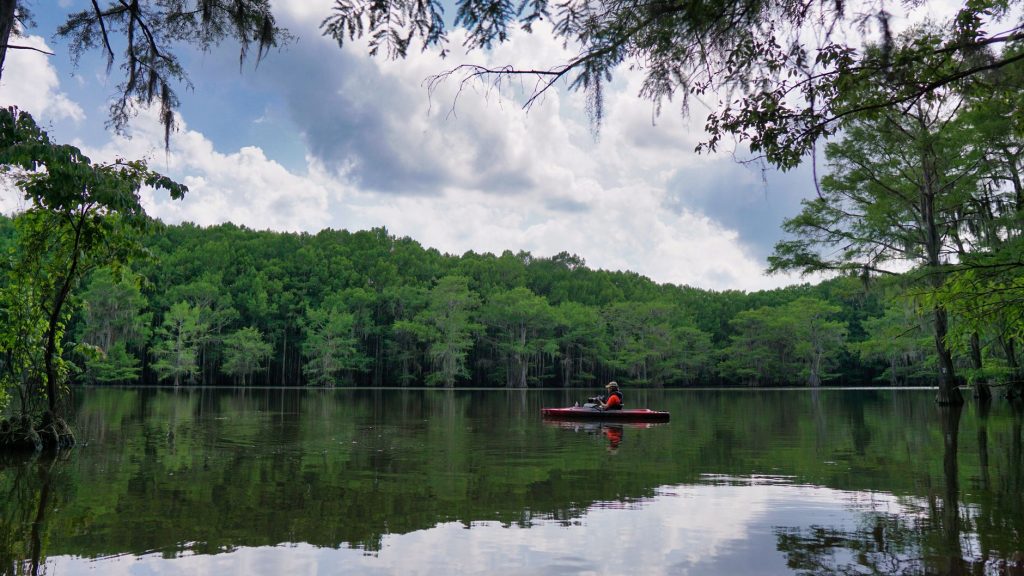 Caddo Lake State Park — Shreveport