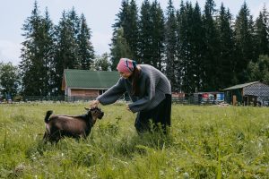 Shibumi Acupuncture & Wellness / Brasada Ranch — actually: Goat Yoga Bend at Hollinshead Barn — Bend