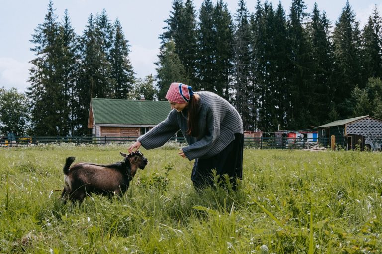 Shibumi Acupuncture & Wellness / Brasada Ranch — actually: Goat Yoga Bend at Hollinshead Barn — Bend