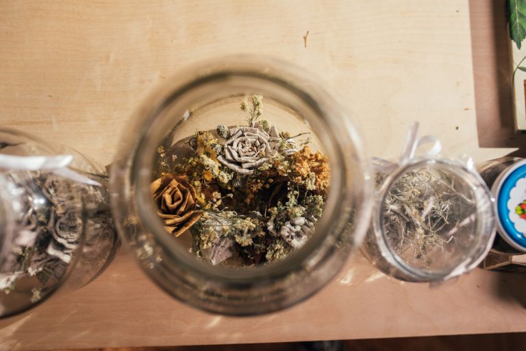 Abundance Co-op — Syracuse