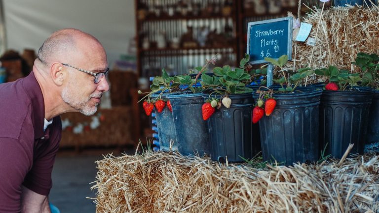 Freedom Farmers Market at the Carter Center — Atlanta