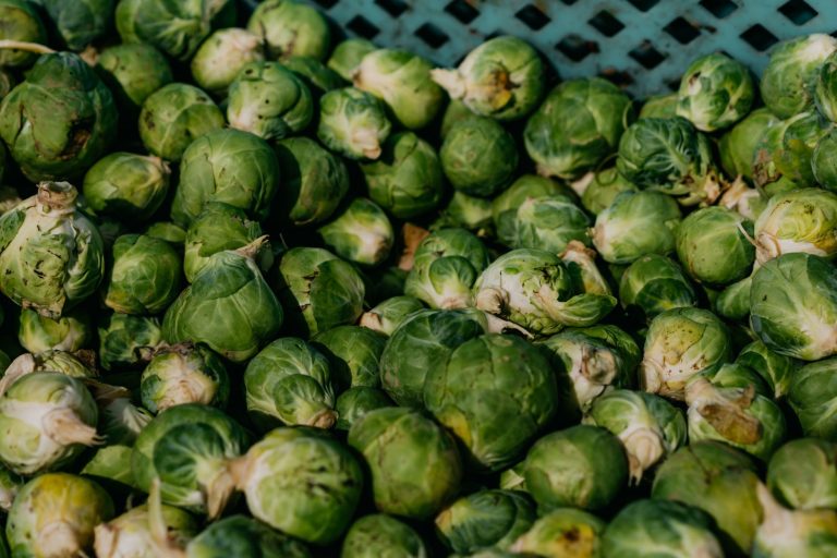 Sprouts Farmers Market — Woodland Park — Woodland Park