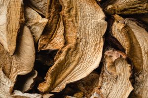 Porcini — Louisville