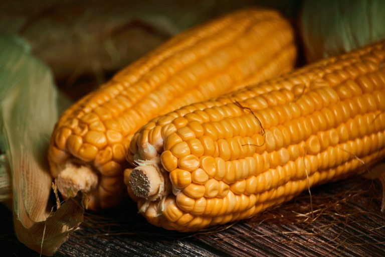 Szalay's Sweet Corn Farm — Akron