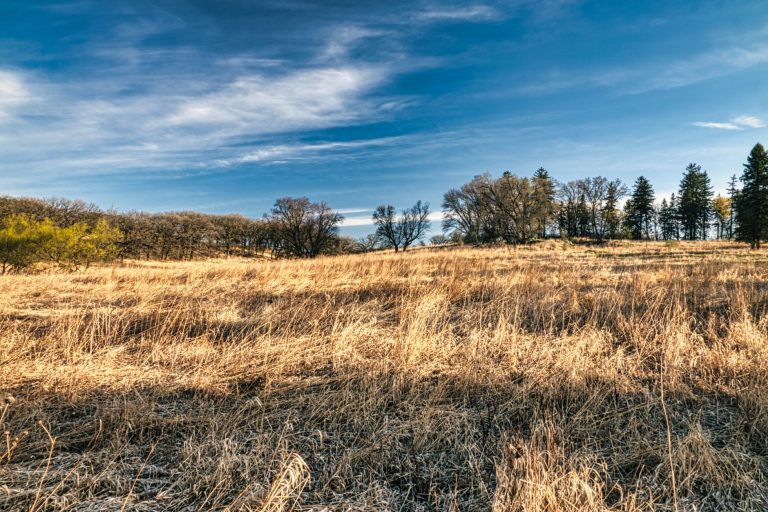 Village Creek Drying Beds Natural Area — Grand Prairie