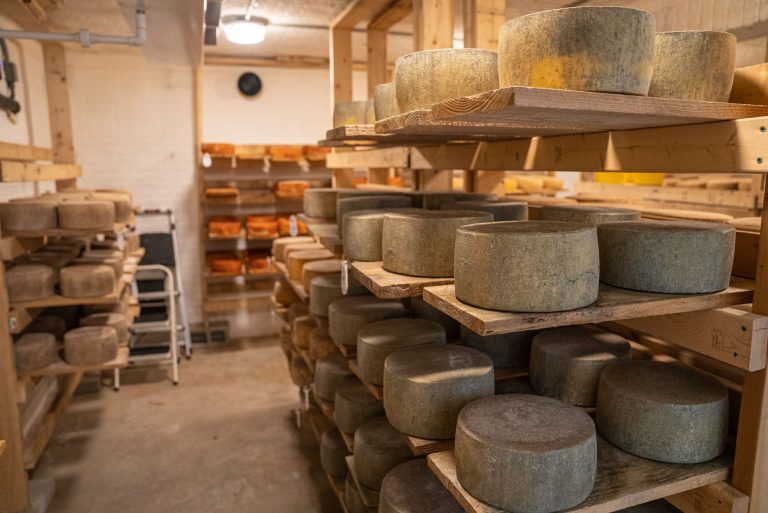 Renard's Cheese (Appleton location) — Appleton