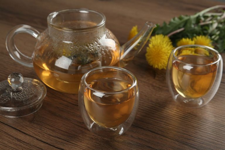 Dandelion Communitea Café — Orlando