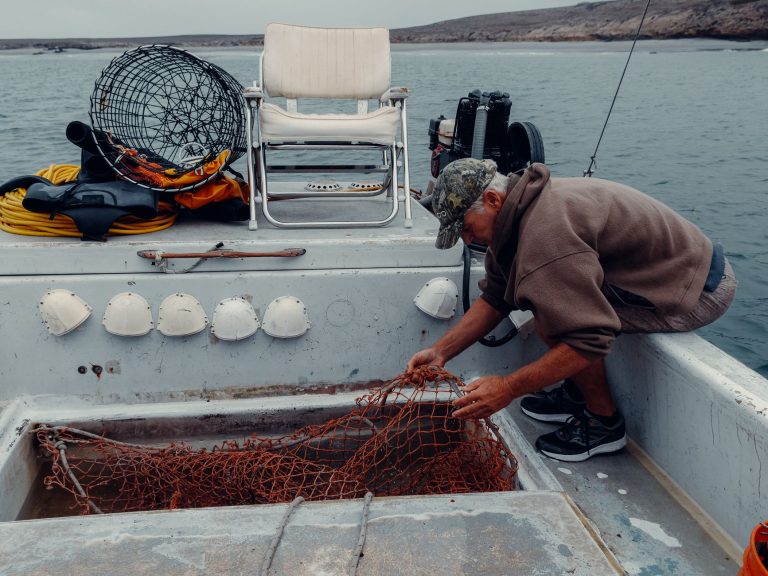 Ventura Sportfishing — Ventura