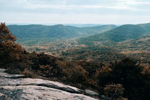 Markham Hill Preserve — Fayetteville