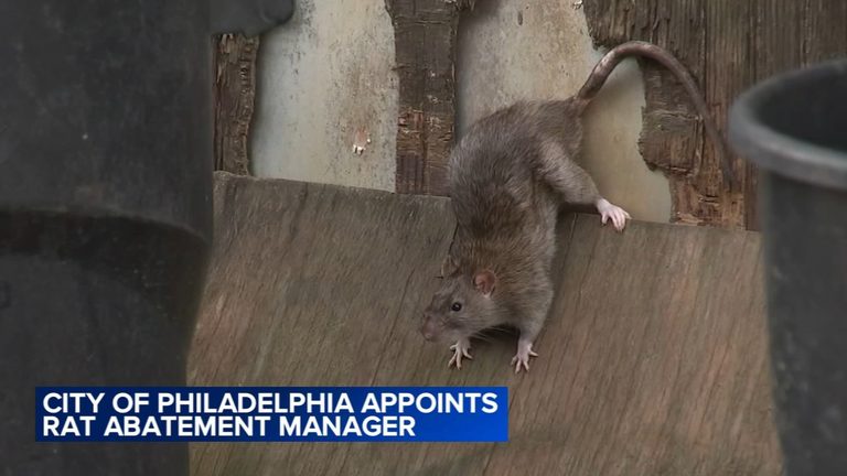 Philadelphia Names First Rat Abatement Manager To Lead Citywide Rodent Control E