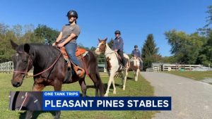 Pleasant Pines Stables Offers Year Round Horse Riding Airbnb Experience In Histo