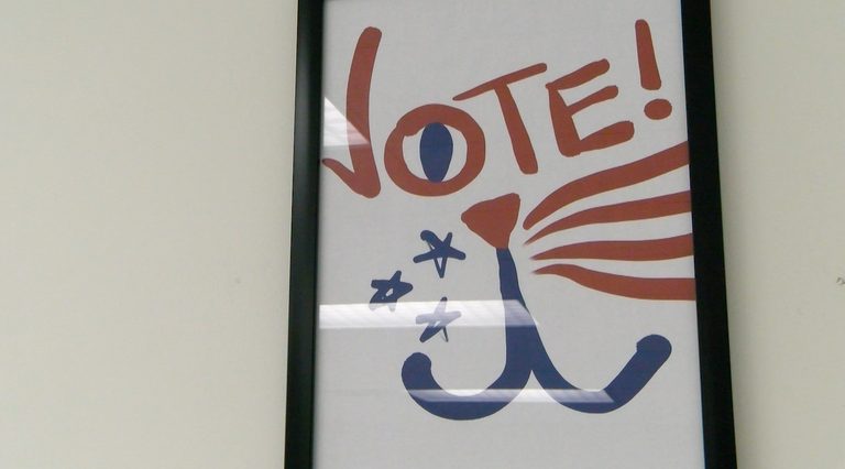 Poll Expert Urges Nebraska Voters To Look Beyond Single Surveys Ahead Of Electio