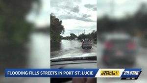 Port St Lucie Streets Flood Fish Swim In Roadways As Water Levels Rise