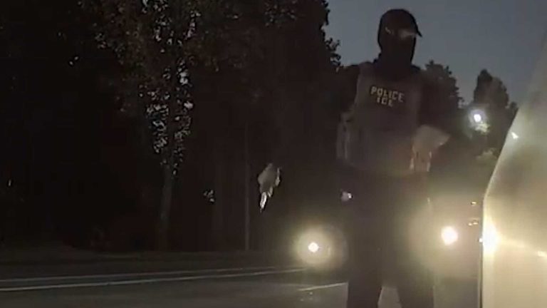 Portland Legal Observer Video Shows Ice Agent Damaging Vehicle Amid Oregon Immig