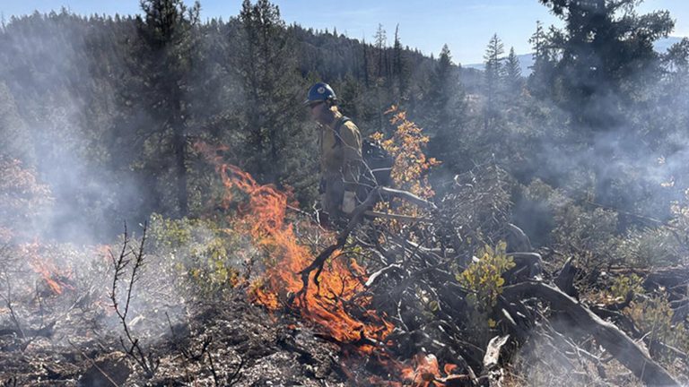 Prescribed Burn North Of Quincy Closes Trailheads And Brings Temporary Smoke