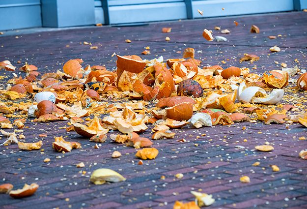 Pumpkin Smash Events Across Baltimore Offer Family Fun After Halloween