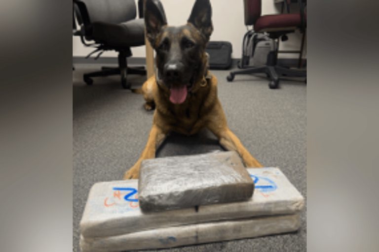 Putnam County Police Stop Fentanyl Suspect After Taconic Parkway Chase Ends In T
