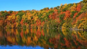 Quiet Weekend Ahead For Central And Upstate New York With Mild Temperatures