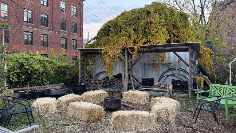 Radix Center S Haunted Farm Returns Friday With Sustainable Halloween Fun