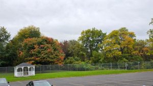 Rainy Sunday Ushers In A Week Of Clouds Cooler Temps And Possible Lake Effect Sn
