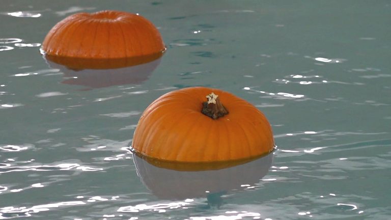 Rapid City Families Dive Into 4Th Annual Pumpkin Plunge At Roosevelt Swim Center