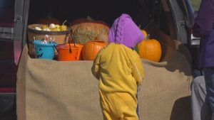 Rapid City Raptor Center Opens Doors For Family Friendly Owl O Ween Celebration