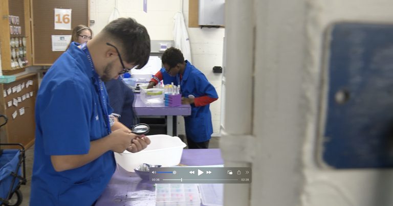 Raytown Life University Program Equips Special Ed Students With Jobs And Indepen