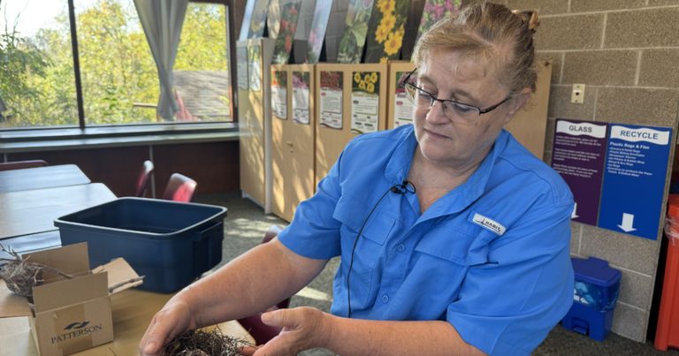 Raytown Residents Urged To Stop Balloon Releases As Wildlife Suffers Litter Impa