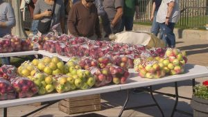 Record Crowd Enjoys Applefest In Two Rivers Amid Warm Autumn Weather