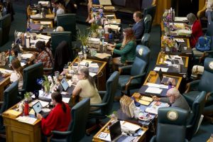 Record Number Of Women Run For State Legislatures In 2026 Election Cycle