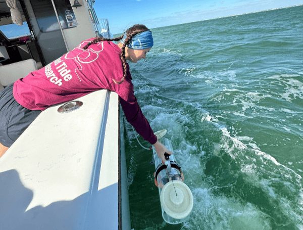 Red Tide Hits Bloom Levels In Gulf County S St Joseph Bay
