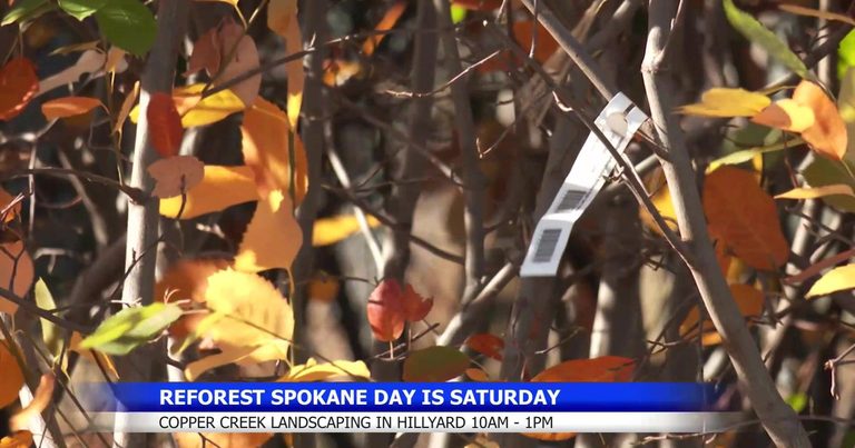 Reforest Spokane Day Plants 106 Trees Along Hillyard S Children Of The Sun Trail
