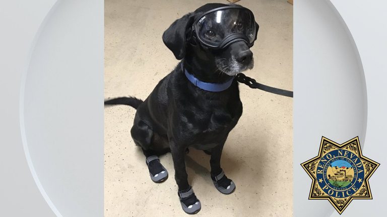 Reno Police Honor Retired Explosive Detection K9 Bob For Years Of Service