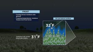 Reno Residents Warned Frost Possible Early Next Week As Clear Skies Drop Temps