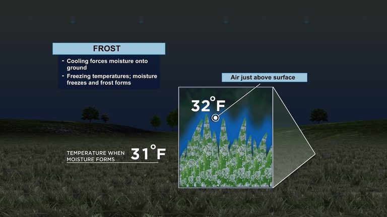 Reno Residents Warned Frost Possible Early Next Week As Clear Skies Drop Temps