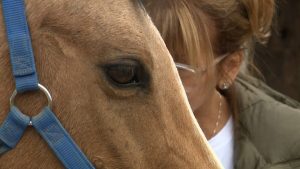 Reno Woman Uses Horses To Help Women Find Hope And Faith