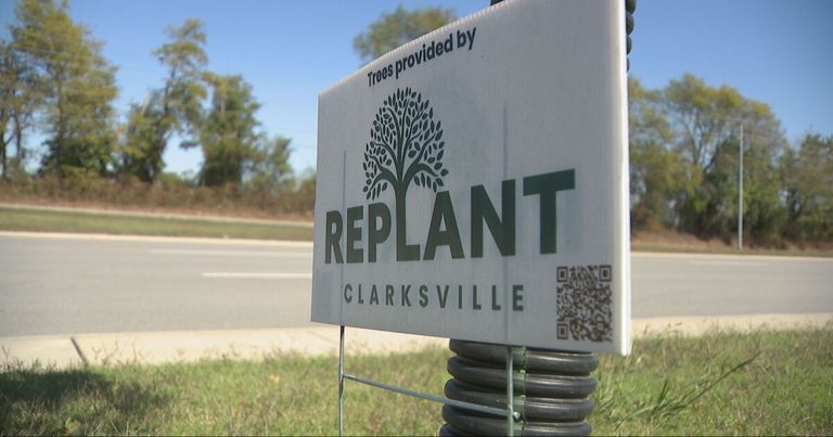 Replant Clarksville Receives State Matching Grant To Plant 1 000 Trees Each Year