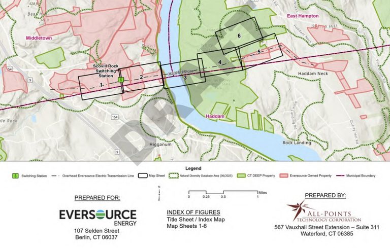 Residents Plan Seven Mile March To Oppose Eversource Gas Pipeline In East Hampto