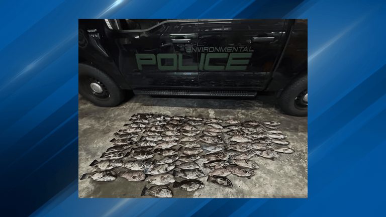 Rhode Island Environmental Police Seize Over 70 Undersized Fish Cite Two Anglers