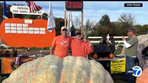 Rhode Island Farmer Harvests 3 156 Pound Pumpkin Aiming For World Record