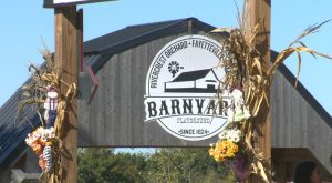 Rivercrest Orchard Fall Festival Welcomes Families To Fayetteville Through Novem