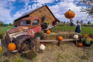 Roca Berry Farm Reopens Oct 2 After Rain Closure